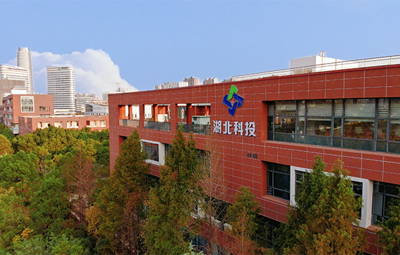 关于鉴黑担保网  鉴黑担保网