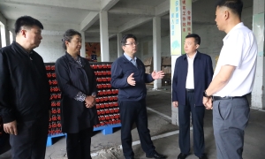 压实备汛责任 筑牢安全堤坝
